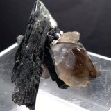 Aegirine, Quartz
53 x 52 mm
(Autor: Sante Celiberti)