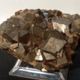 Andradite
68 x 49 mm
(Autor: Sante Celiberti)