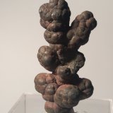 Copper
40 x 20 mm
(Autor: Sante Celiberti)