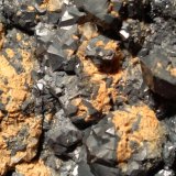 Acanthite, Ankerite
58 x 42 mm
(Autor: Sante Celiberti)