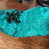 Atacamite, Libethenite, Pseudomalachite
78 x 44 mm
(Autor: Sante Celiberti)