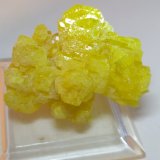 Sulphur
38 x 32 mm
(Autor: Sante Celiberti)