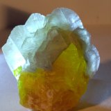Sulphur, Gypsum
50 x 45 mm
(Autor: Sante Celiberti)