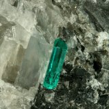 Beryl (variety emerald), Calcite, Pyrite
43x38x50mm,  xl=11mm
(Autor: Fiebre Verde)