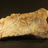 Baryte
62mm x 31mm x 12mm
(Autor: Firmo Espinar)