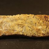 Baryte
87mm x 23mm x 17mm
(Autor: Firmo Espinar)