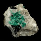 Beryl (variety emerald), Calcite
7cm across
(Autor: Fiebre Verde)