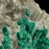 Beryl (variety emerald), Calcite
7cm across
(Autor: Fiebre Verde)