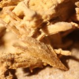 Baryte
FOV 12 mm
(Autor: Firmo Espinar)