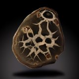 Calcite
62 mm x 76 mm x 18 mm
(Autor: Firmo Espinar)