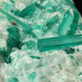 Beryl (variety emerald), Dolomite, Pyrite
42mm across, xls up to 14mm
(Autor: Fiebre Verde)