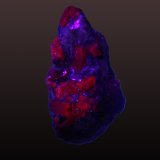 Corundum (variety ruby)
25 mm x 42 mm x 20 mm
(Autor: Firmo Espinar)