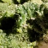 Pyromorphite
Close up.
(Autor: Firmo Espinar)