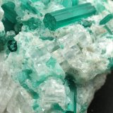 Beryl (variety emerald), Dolomite, Pyrite
42mm across, xls up to 14mm
(Autor: Fiebre Verde)