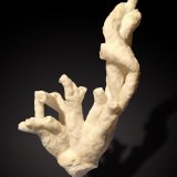 Aragonite
74 mm x 136 mm x 35 mm
(Autor: Firmo Espinar)