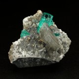 Beryl (variety emerald), Albite (variety cleavelandite), Dolomite, Pyrite
32mm across, main xl=9mm
(Autor: Fiebre Verde)