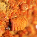 Vanadinite
FOV 9 mm
(Autor: Firmo Espinar)