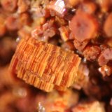 Vanadinite
FOV 8 mm
(Autor: Firmo Espinar)