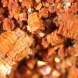 Vanadinite
FOV 9 mm
(Autor: Firmo Espinar)