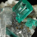 Beryl (variety emerald), Albite (variety cleavelandite), Dolomite, Pyrite
32mm across, main xl=9mm
(Autor: Fiebre Verde)