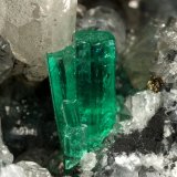 Beryl (variety emerald), Calcite, Pyrite
54x36x60mm, xl=8mm
(Autor: Fiebre Verde)