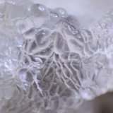 Opal (variety hyalite), Chalcedony and Quartz
Detail. FOV 10mm.
(Autor: Firmo Espinar)