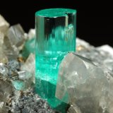 Beryl (variety emerald), Albite (variety cleavelandite), Dolomite, Pyrite
32mm across, main xl=9mm
(Autor: Fiebre Verde)