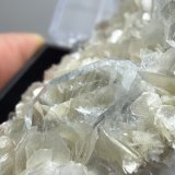 Beryl (variety aquamarine)
66mm x 52mm x 36mm
(Autor: QT.JojoGuo)