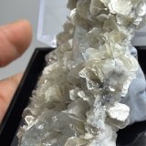 Beryl (variety aquamarine)
66mm x 52mm x 36mm
(Autor: QT.JojoGuo)