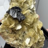 Cassiterite
66mm x 52mm x 36mm
(Autor: QT.JojoGuo)