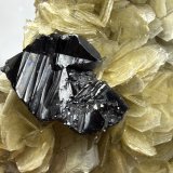 Cassiterite
66mm x 52mm x 36mm
(Autor: QT.JojoGuo)