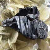 Cassiterite
66mm x 52mm x 36mm
(Autor: QT.JojoGuo)