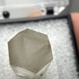 Calcite
14mm x 8mm x 9mm
(Autor: QT.JojoGuo)