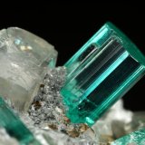 Beryl (variety emerald), Albite (variety cleavelandite), Dolomite, Pyrite
32mm across, main xl=9mm
(Autor: Fiebre Verde)