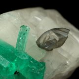 Beryl (variety emerald), Calcite, Dolomite
rhomb size=30x30x30mm, longest xl=18mm
(Autor: Fiebre Verde)