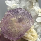Fluorite, Quartz
80mm x 47mm x 32mm
(Autor: QT.JojoGuo)