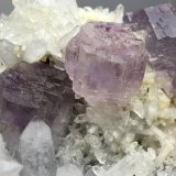 Fluorite, Quartz
80mm x 47mm x 32mm
(Autor: QT.JojoGuo)
