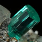 Beryl (variety emerald), Albite (variety cleavelandite), Dolomite, Pyrite
32mm across, main xl=9mm
(Autor: Fiebre Verde)