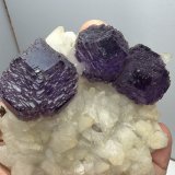 Fluorite, Calcite
76mm x 67mm x 40mm
(Autor: QT.JojoGuo)