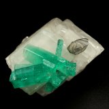 Beryl (variety emerald), Calcite, Dolomite
rhomb size=30x30x30mm, longest xl=18mm
(Autor: Fiebre Verde)