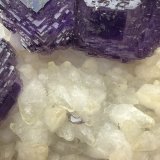 Fluorite, Calcite
76mm x 67mm x 40mm
(Autor: QT.JojoGuo)