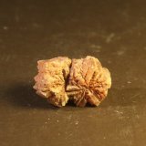 Aragonite
27mm x 13mm x 11mm
(Autor: Firmo Espinar)
