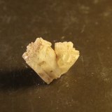Aragonite
22mm x 25mm x 12mm
(Autor: Firmo Espinar)