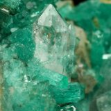 Beryl (variety emerald), Calcite, Quartz
43x30x34mm, aggregate with xls up to 10mm
(Autor: Fiebre Verde)