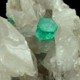 Beryl (variety emerald), Calcite, Dolomite
40x43x40mm, xl=9mm
(Autor: Fiebre Verde)