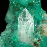 Beryl (variety emerald), Calcite, Quartz
43x30x34mm, aggregate with xls up to 10mm
(Autor: Fiebre Verde)