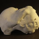 Opal
68mm x 40mm x 13mm
(Autor: Firmo Espinar)