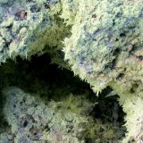 Sulphur
8 cm
(Autor: Jesse Fisher)