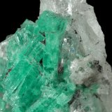 Beryl (variety emerald), Calcite, Pyrite, Quartz
H:44mm x W:25mm
(Autor: Fiebre Verde)