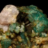 Beryl (variety emerald), Albite (variety cleavelandite), Calcite, Apatite
37x18x33mm
(Autor: Fiebre Verde)